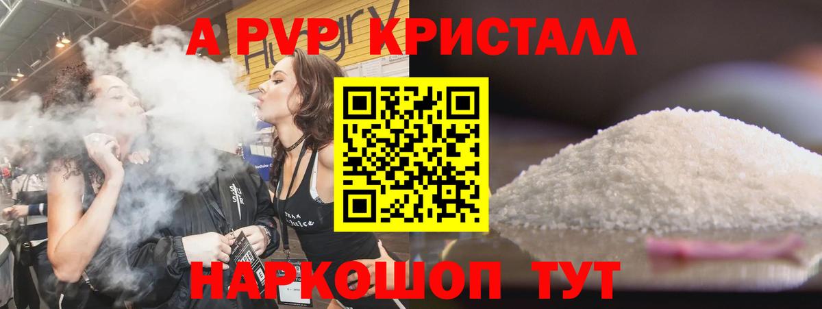 Alfa_PVP СК Урус-Мартан