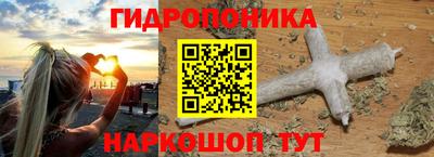 прущие грибы Жуковский