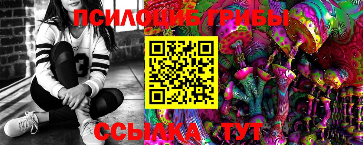 Урус-Мартан  Галлюциногенные грибы мицелий  где найти наркотики  Вход с VPN 